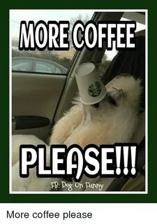 MORE COFFEE PLEASE!l FB Dog on Fupny More Coffee Please Meme