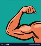 Strong arm muscles gym comics style design Vector Image