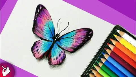 How to draw a butterfly with colored pencils - Pencil drawin