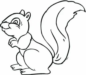 /squirrel+sablon