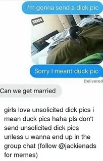 🐣 25+ Best Memes About Duck Pic Duck Pic Memes