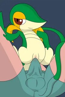 PokePUSSYphilia thread This is the thread for discussion abo