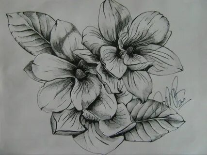 flower tattoo tumblr - Google zoeken Flower tattoo, Southern