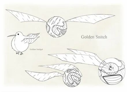 Golden Snitch Drawing at PaintingValley.com Explore collecti
