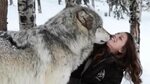 A Woman’s Encounter With Two Giant Wolves In The Woods Leads