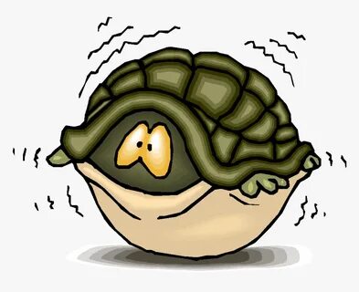 Clipart Turtle Top - Turtle Inside Shell Cartoon, HD Png Dow