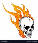 Skull on fire with flames Royalty Free Vector Image Drawing 