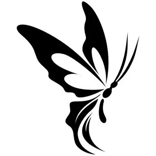 Butterfly Side - Image Sharing Site