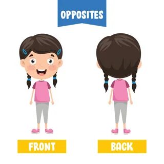 Opposite Adjectives With Cartoon Drawings 2579451 Vector Art
