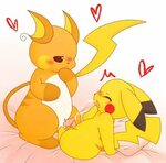 Xbooru - gay male nintendo pikachu pisho pokemon raichu 1543