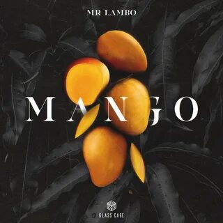 Mango - Mr Lambo - 专 辑 - 网 易 云 音 乐