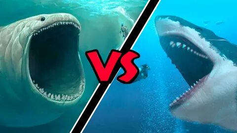 Megalodon VS Bloop - (Who Would Win?