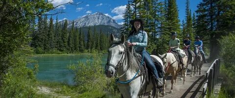 Best Things to Do in Banff - Summer Discover Banff Tours