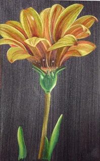 Oil Pastel Flower Drawing - Flix It