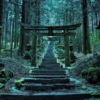 Photos: Torii Gate -Beautiful scenery of japan! - Best of Ja