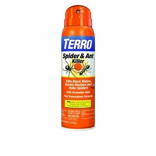 Best Ant Spray Killer - Quotes Update Viral