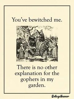 Puritan Valentine's Day Cards History jokes, Historical vale