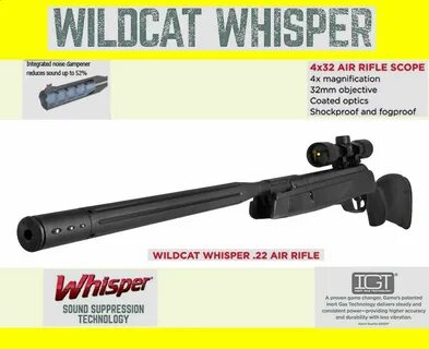 Gamo Whisper Silent Cat Air Rifle Review : Gamo Silent Cat A