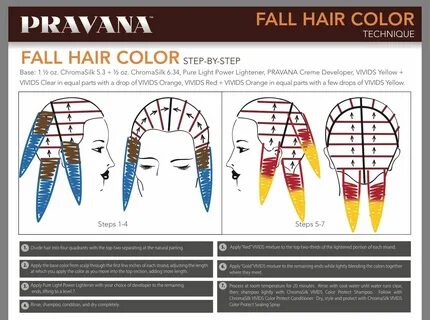 Fall hair color placement Pinwheel hair color, Hair color pl