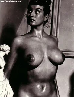 Vintage sophia loren nude - Nuslut.com