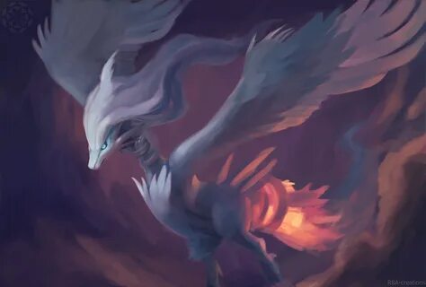 20+ Reshiram (Pokémon) HD Wallpapers, Achtergronden