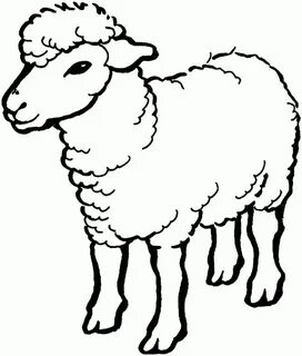 Free Printable Sheep Coloring Pages For Kids Farm animal col