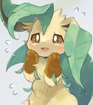 Leafeon - Pokémon page 3 of 6 - Zerochan Anime Image Board