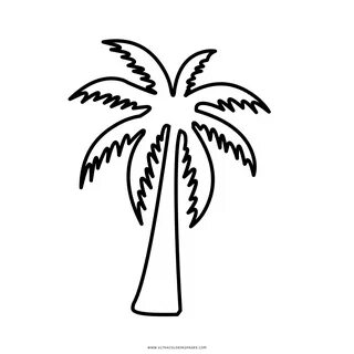 Palma Coloring Colorear Palmera Dibujo Palm Mewarnai Gambar 
