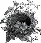 27 Nest Clipart Images! Clip art vintage, Graphics fairy, Vi