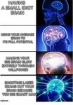 Big brain Memes