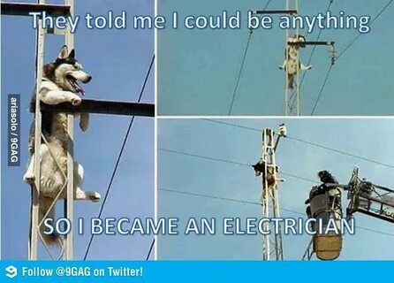 Quotes about Electrician (56 quotes)