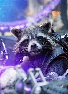 Rocket Racoon GIF Gfycat