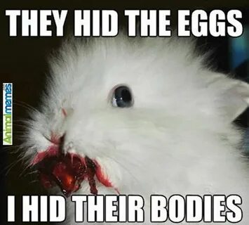 Funny Animal Memes Easter Related Keywords & Suggestions - F