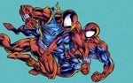 spider-man vs spider-clone - Zoom Comics - Exceptional Comic
