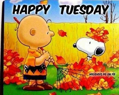 Happy Tuesday Snoopy funny, Charlie brown and snoopy, Snoopy