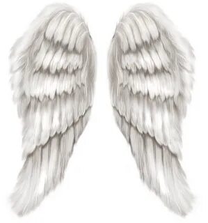 White Angel Wings Transparent PNG Clip Art Image Angel wings