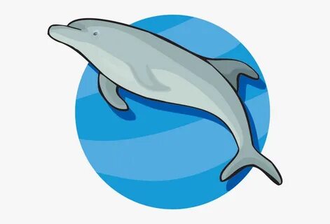 Dolphin - Conclusion Dolphin , Free Transparent Clipart - Cl