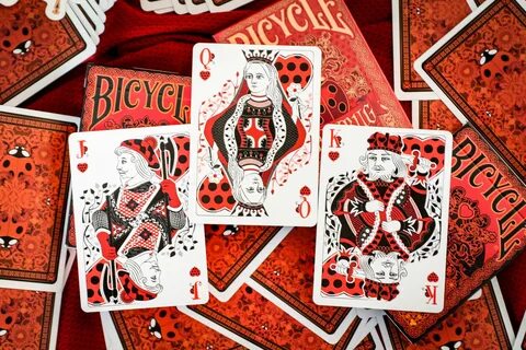 BICYCLE LADYBUG cards. Small and lovely bugs are everywhere 