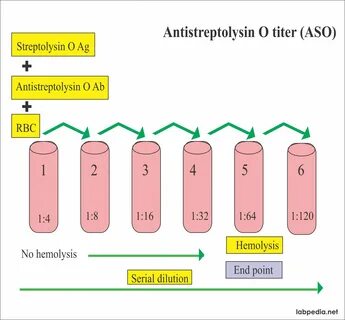 ASO Titer (Antistreptolysin O titer) - Labpedia.net.