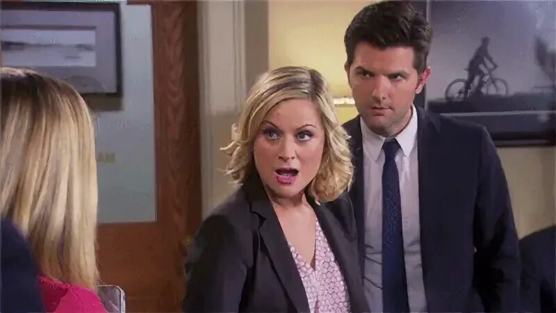 Parks and recreation GIF on GIFER - by Dela