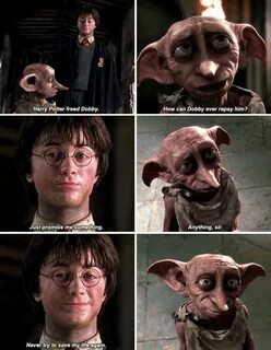Best 21 Harry Potter Memes Dobby Kreacher harry potter, Dobb