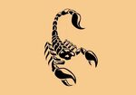 Тату полинезия скорпион (65 фото)