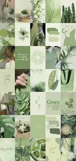 100pcs Sage Green Wall Collage Kit 2 Boho Aesthetic Etsy in 