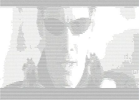 Fully animated ASCII version of The Matrix (see notes for li