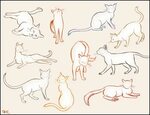 I WILL DRAW THEM!!! Cat sketch, Animal drawings, Cat drawing