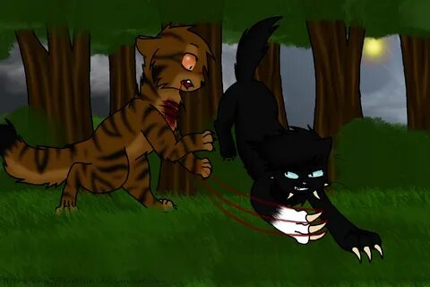 Tigerstar Vs Scourge Related Keywords & Suggestions - Tigers