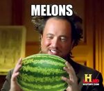 19 Hilarious Melon Meme That Make You Laugh All Day - MemesB