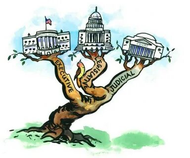 The branches of government. What are the branches of governm