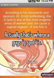Actually that's where a guys "g spot" is.