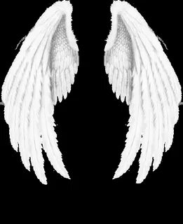 Картинки крыльев ангела (37 картинок) Приколист